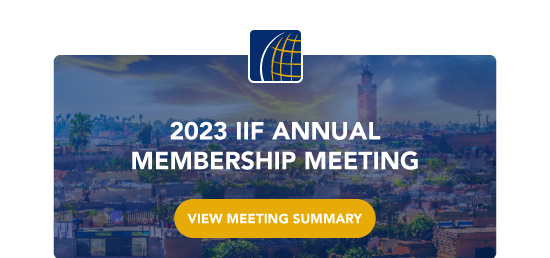 2022 IIF Annual Membership Meeting