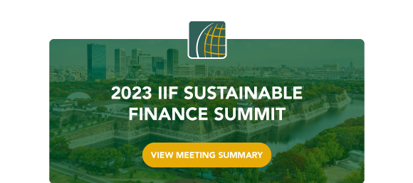 2023 IIF Sustainable Finance Summit